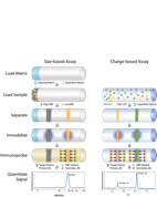  width=